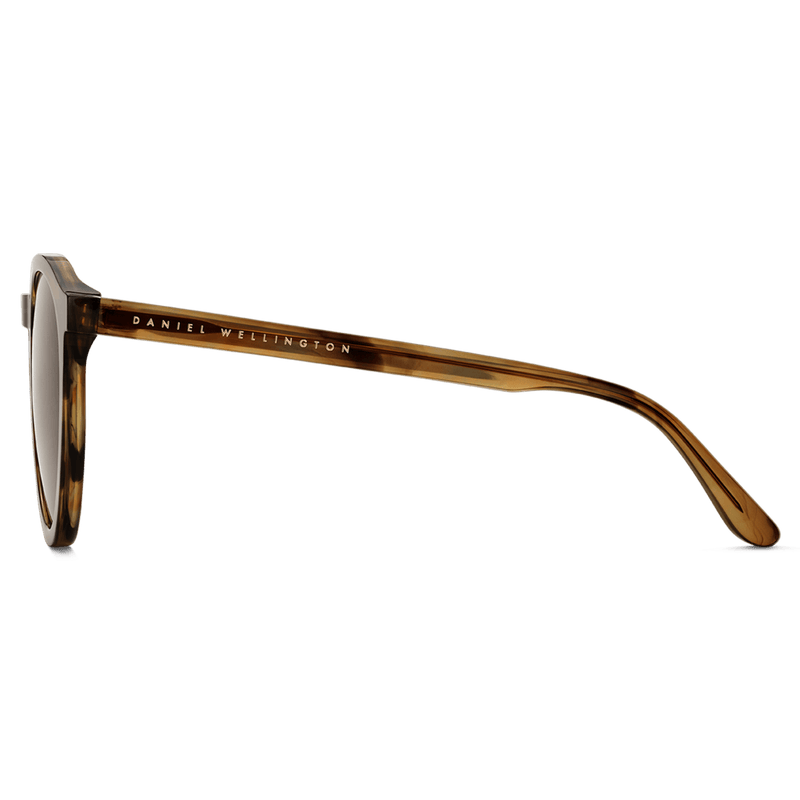 Bio-Acetate Arch Brown Demi