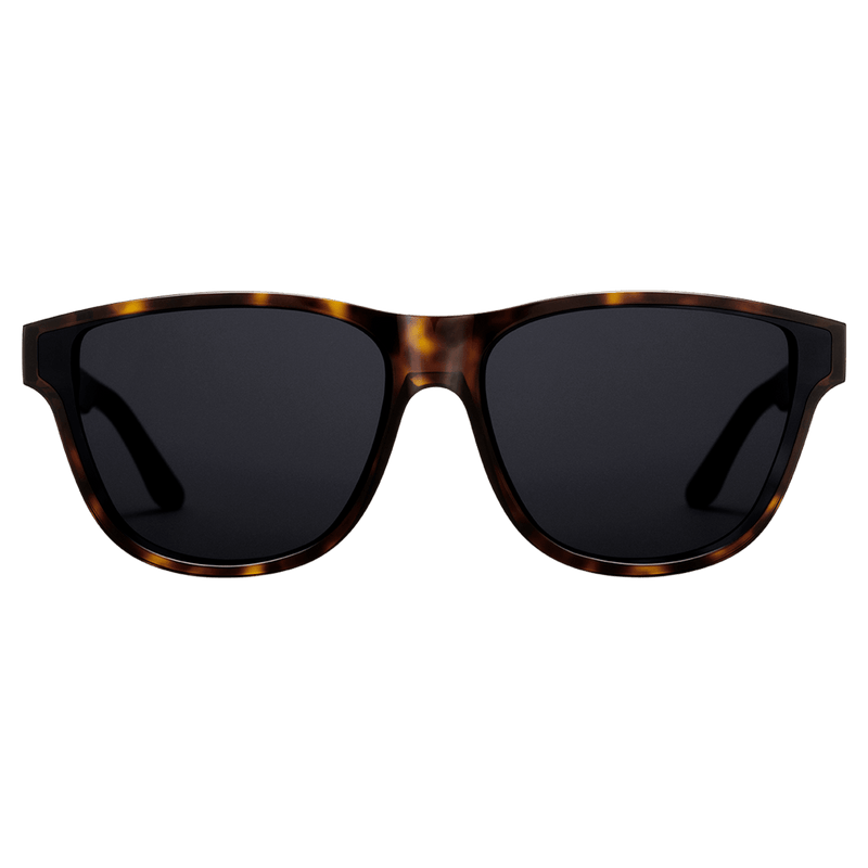 Ambler Bio-Acetate Dark Havana