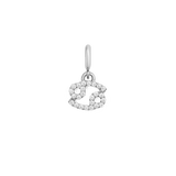 Zodiac Watch Charm Silver