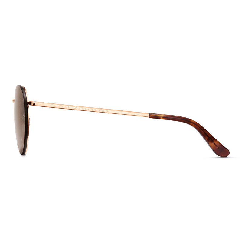 Arch Steel Brown Rose Gold