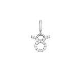Zodiac Watch Charm Silver