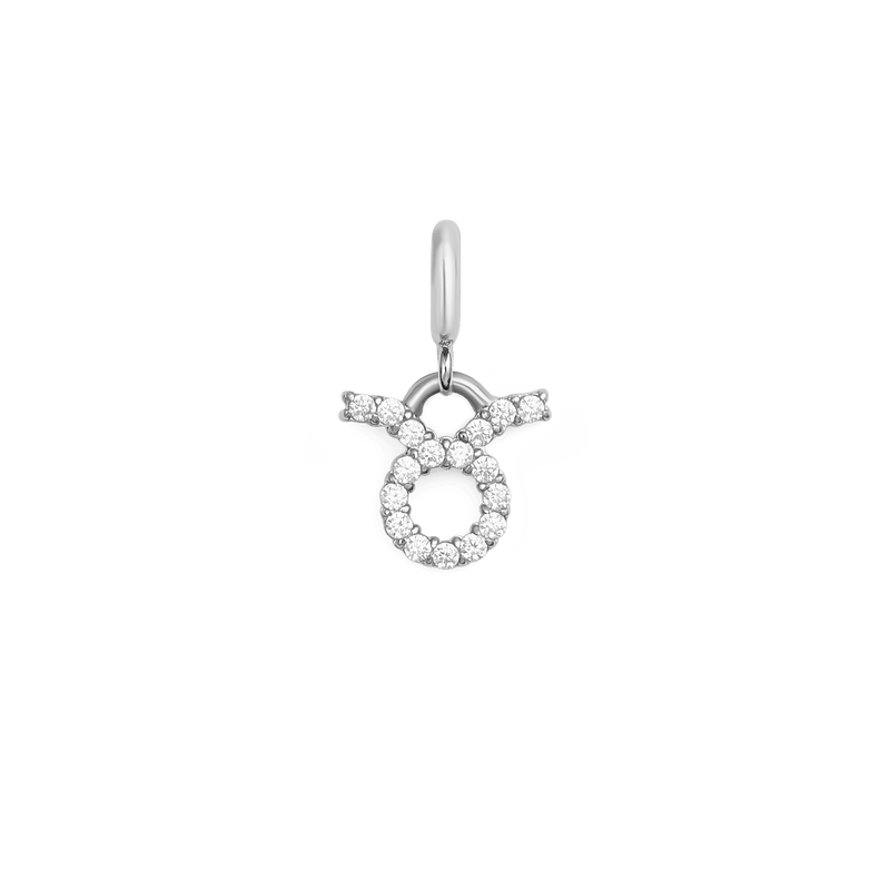 Zodiac Watch Charm Silver