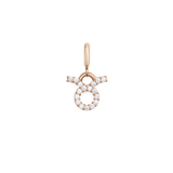 Zodiac Watch Charm Rose Gold