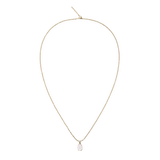 Mother of Pearl Oval Gold Charm